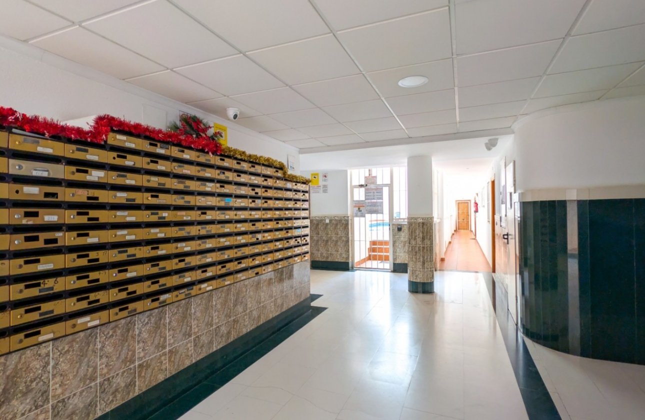 Resale - Apartment -
Torrevieja - Costa Blanca