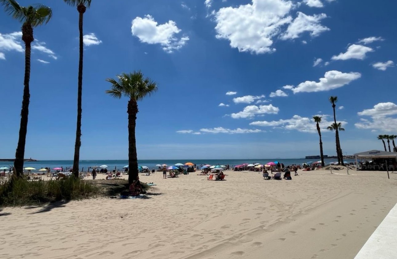 Resale - Apartment -
Torrevieja - Costa Blanca