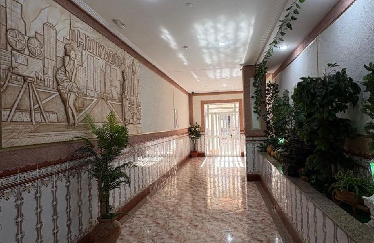 Resale - Apartment -
Torrevieja - Costa Blanca