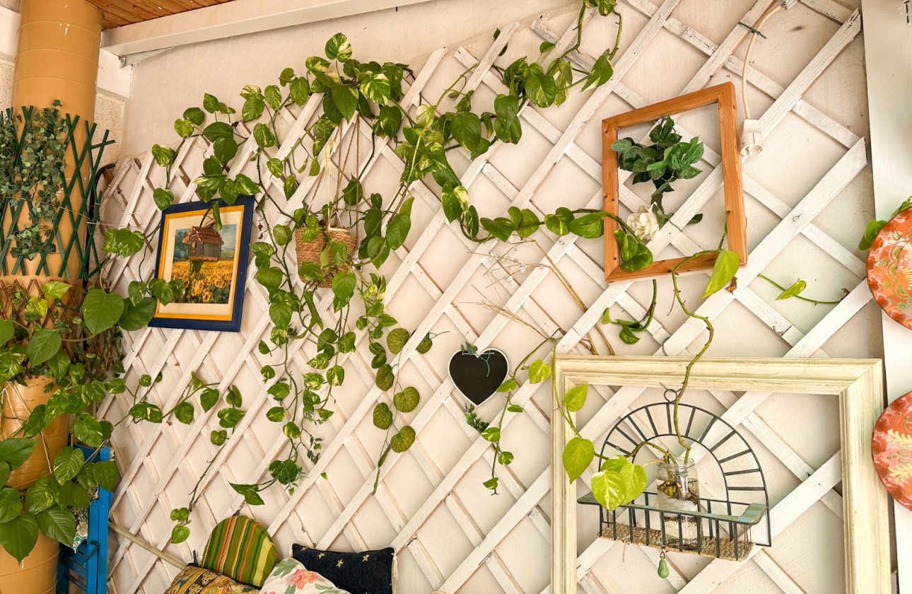 Resale - Apartment -
Torrevieja - Costa Blanca