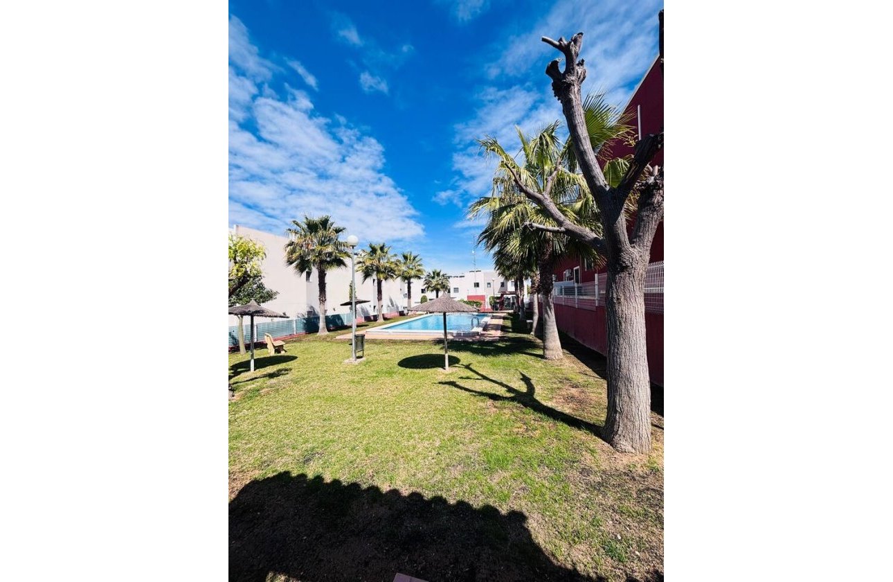 Resale - Apartment -
Torrevieja - Costa Blanca