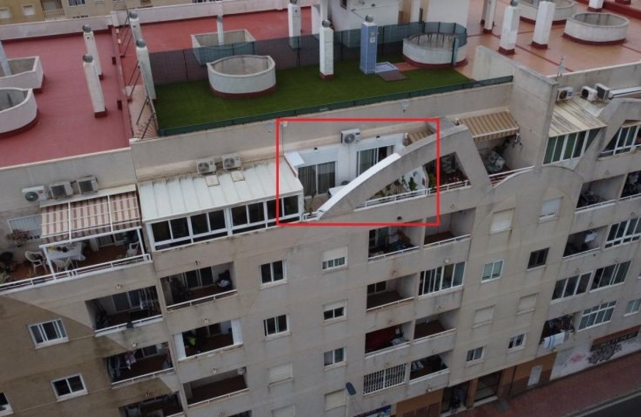 Resale - Apartment -
Torrevieja - Costa Blanca