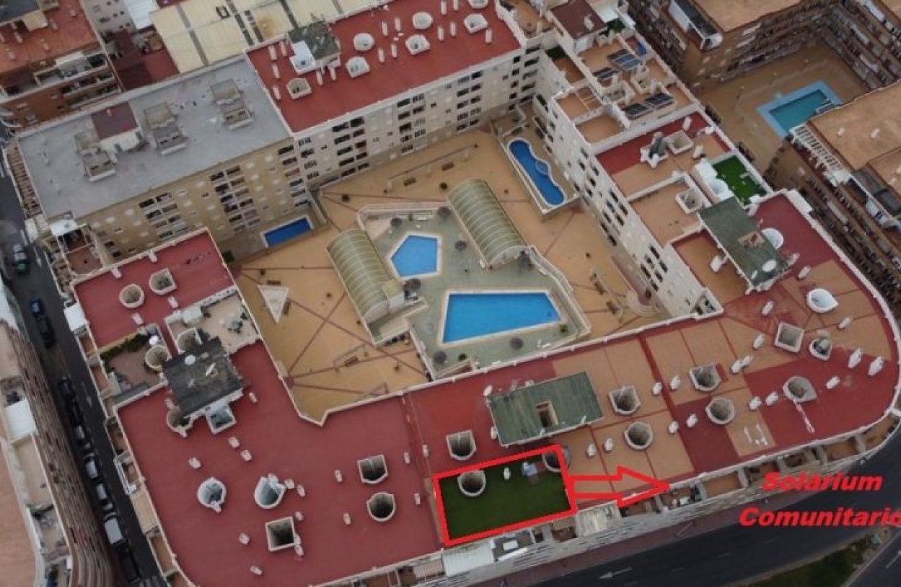 Resale - Apartment -
Torrevieja - Costa Blanca