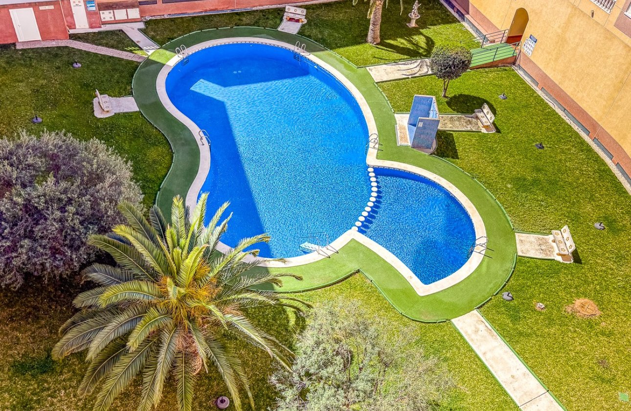 Resale - Apartment -
Torrevieja - Costa Blanca
