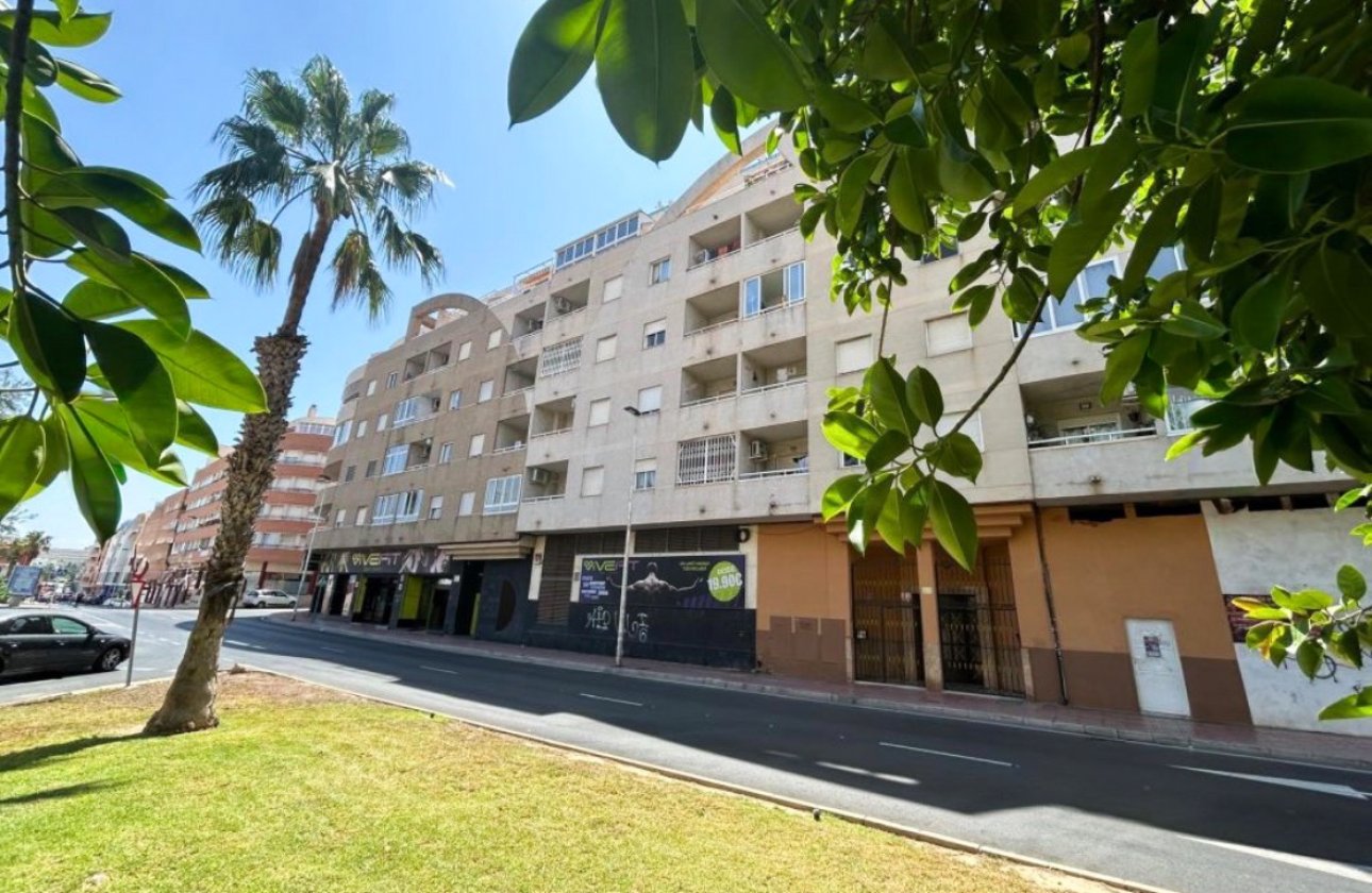 Resale - Apartment -
Torrevieja - Costa Blanca