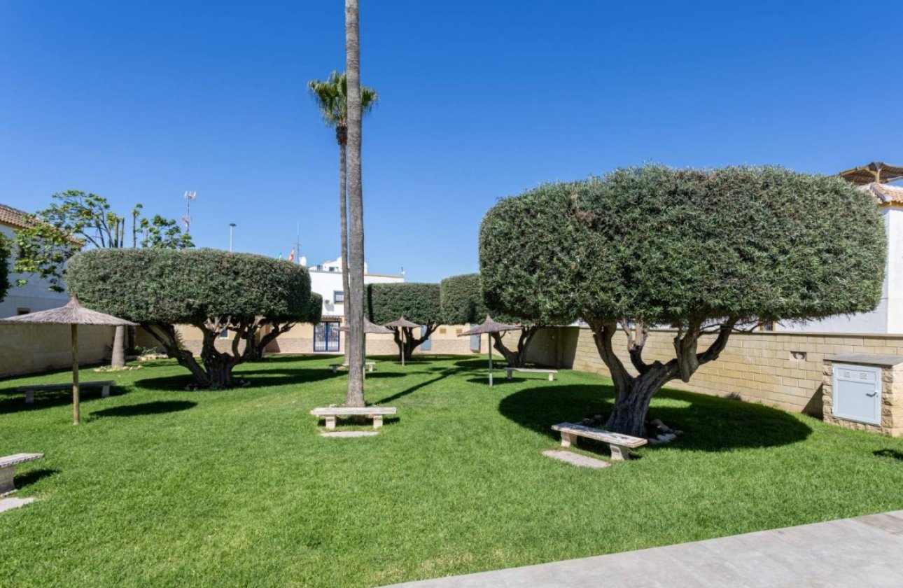Resale - Apartment -
Torrevieja - Costa Blanca