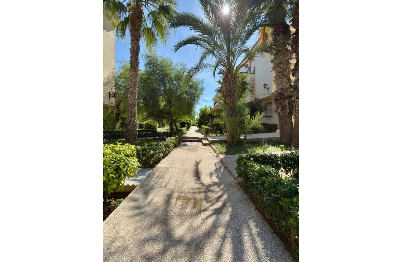 Resale - Apartment -
Torrevieja - Costa Blanca