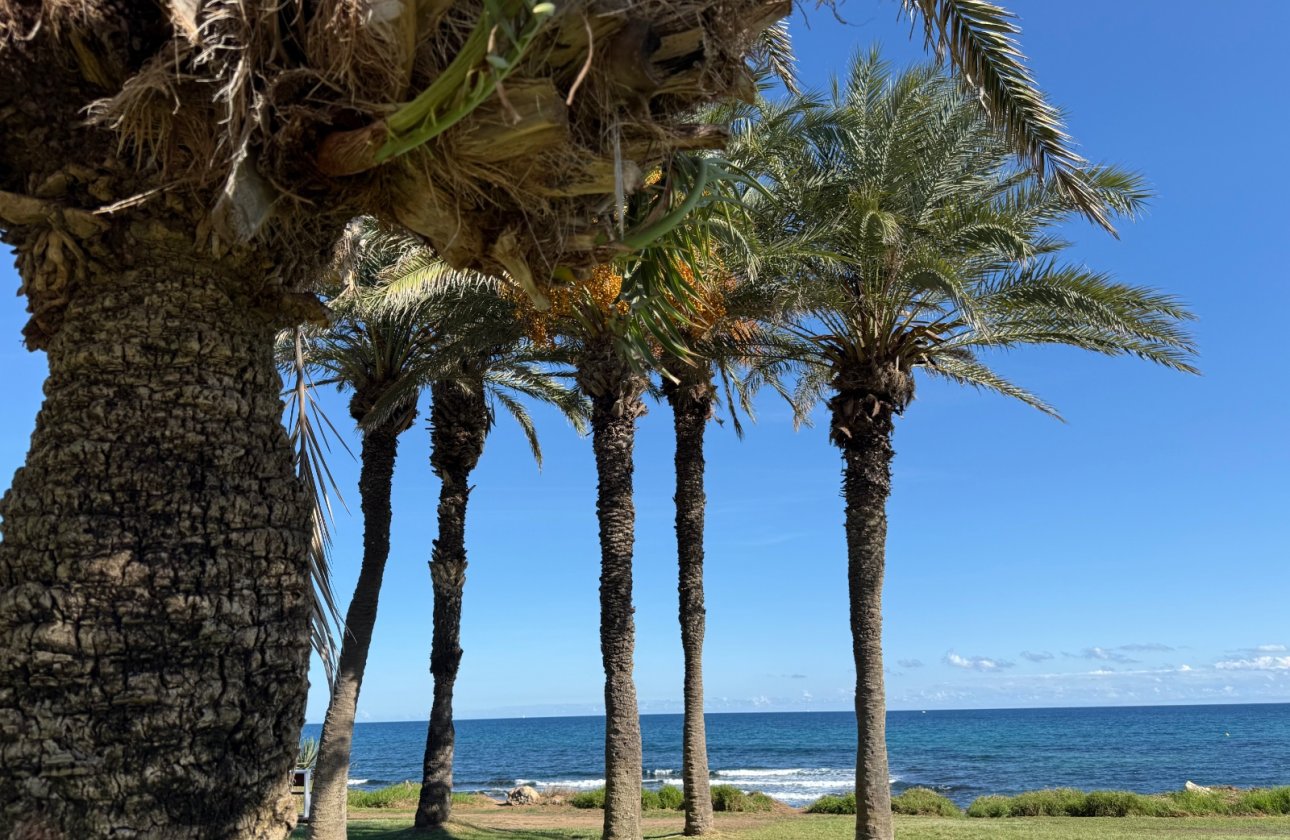 Resale - Apartment -
Torrevieja - Costa Blanca