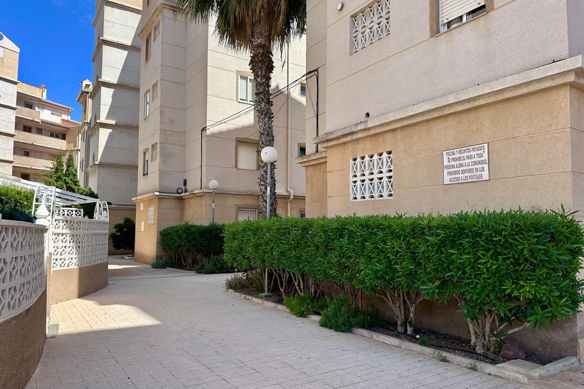 Resale - Apartment -
Torrevieja - Habaneras
