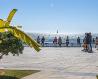 Resale - Apartment -
Torrevieja - Habaneras