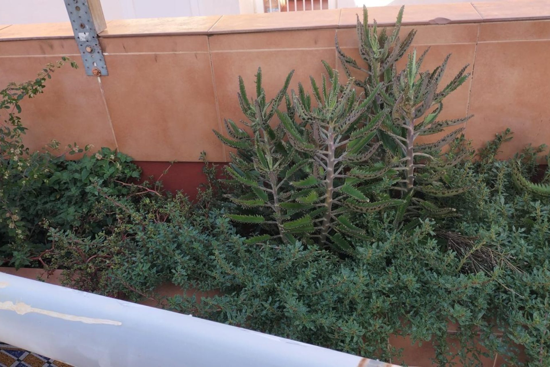 Resale - Apartment -
Torrevieja - La Mata