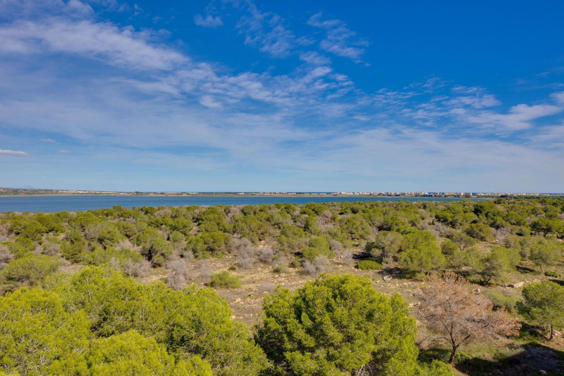 Resale - Apartment -
Torrevieja - La Siesta - El Salado - Torreta