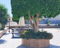 Resale - Apartment -
Torrevieja - Parque Acuático - Sector 25
