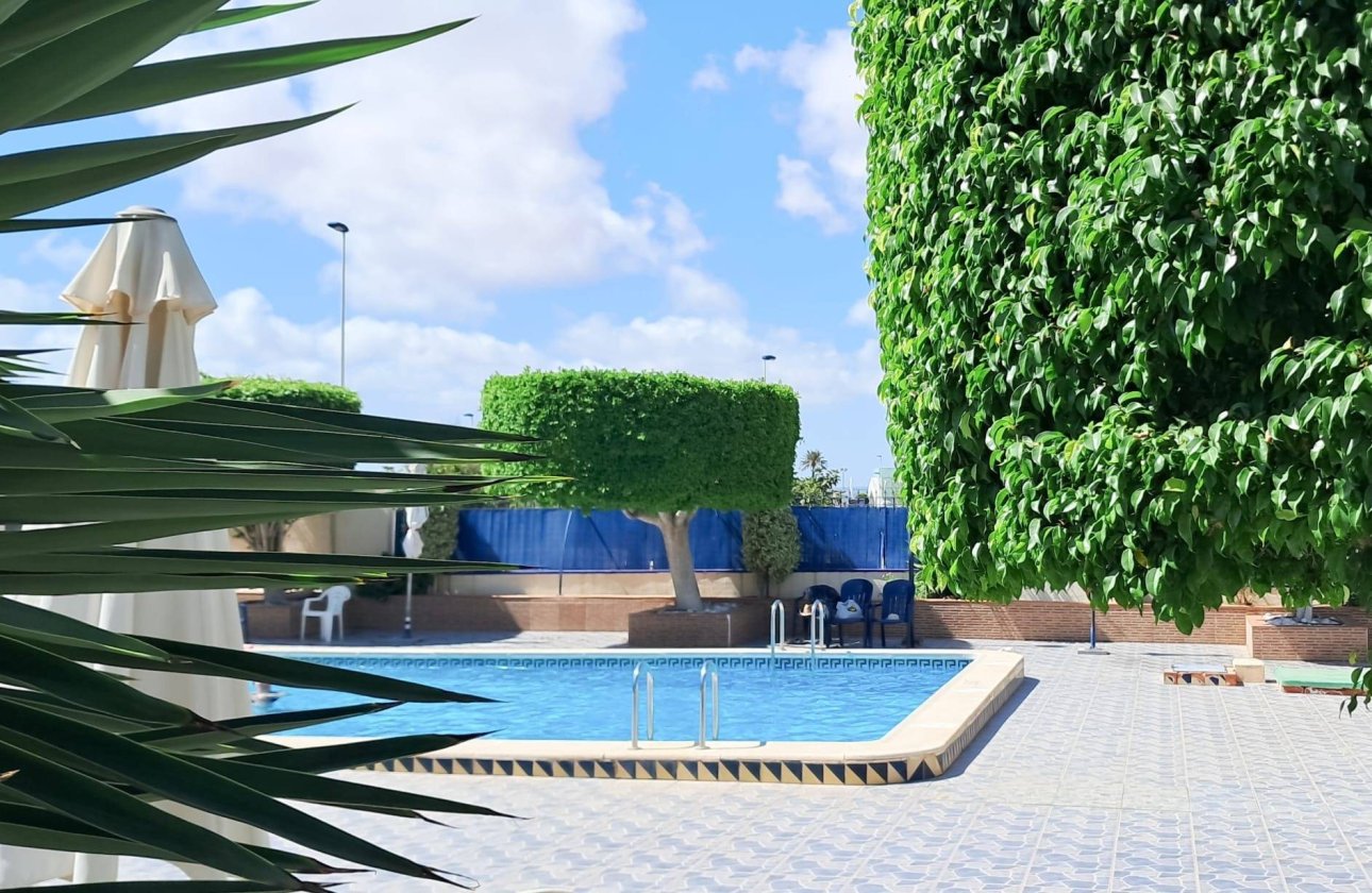 Resale - Apartment -
Torrevieja - Parque Acuático - Sector 25