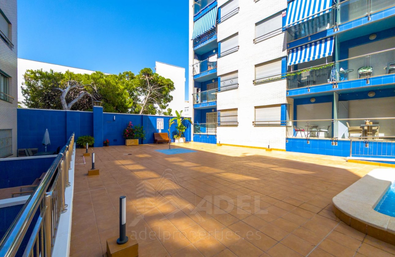 Resale - Apartment -
Torrevieja - Playa de los Locos