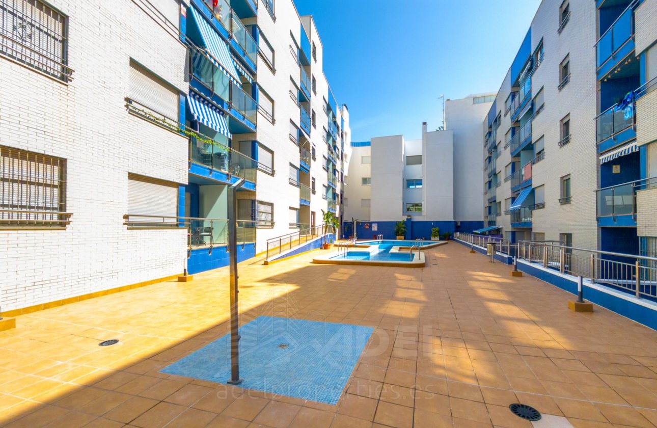 Resale - Apartment -
Torrevieja - Playa de los Locos