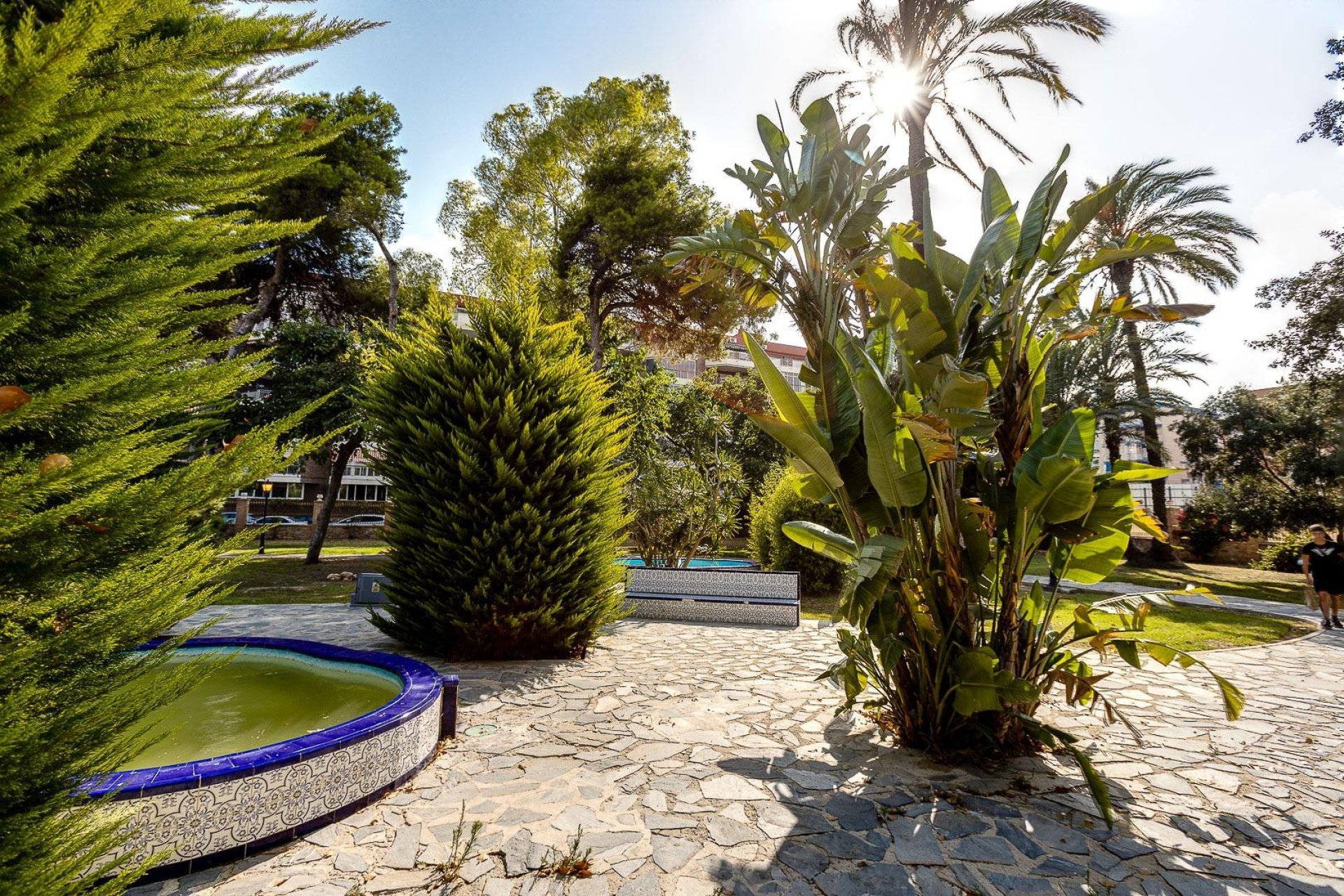 Resale - Apartment -
Torrevieja - Playa De Los Naufragos