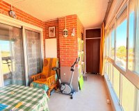 Resale - Apartment -
Torrevieja - Playa De Los Naufragos