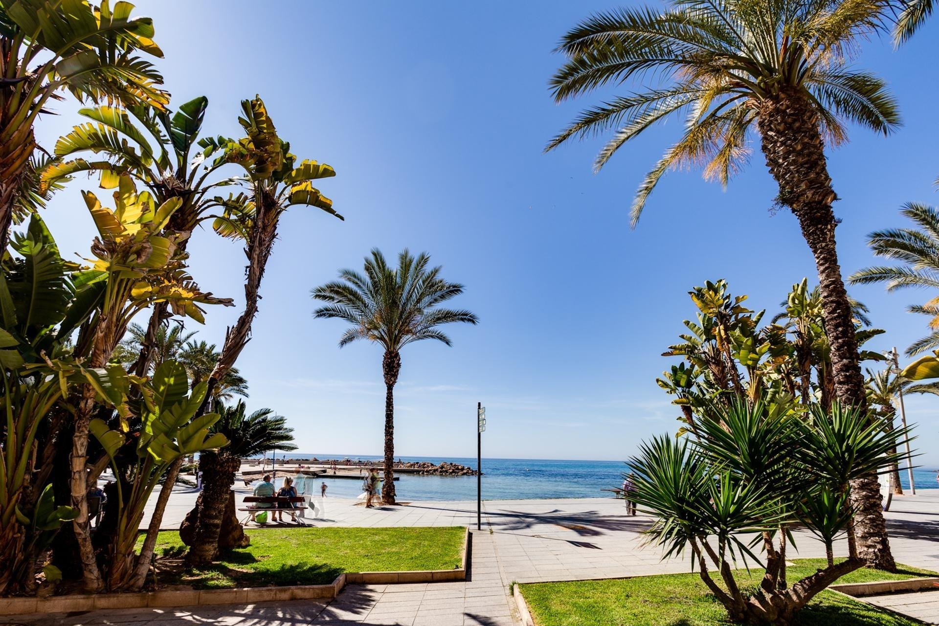 Resale - Apartment -
Torrevieja - Playa del Cura