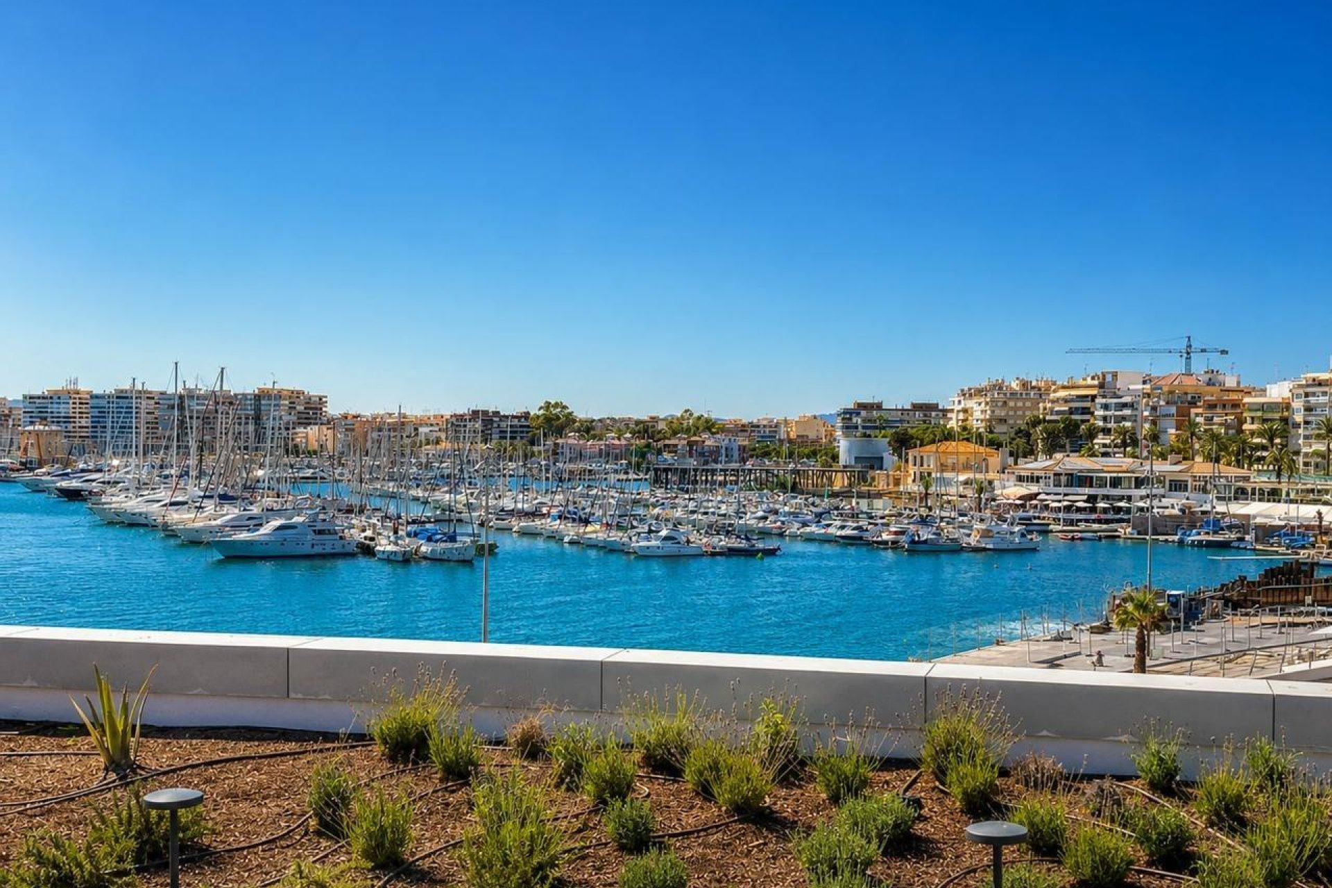 Resale - Apartment -
Torrevieja - Playa del Cura