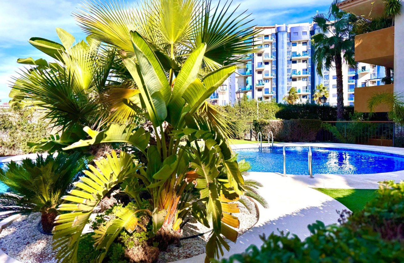 Resale - Apartment -
Torrevieja - Punta Prima