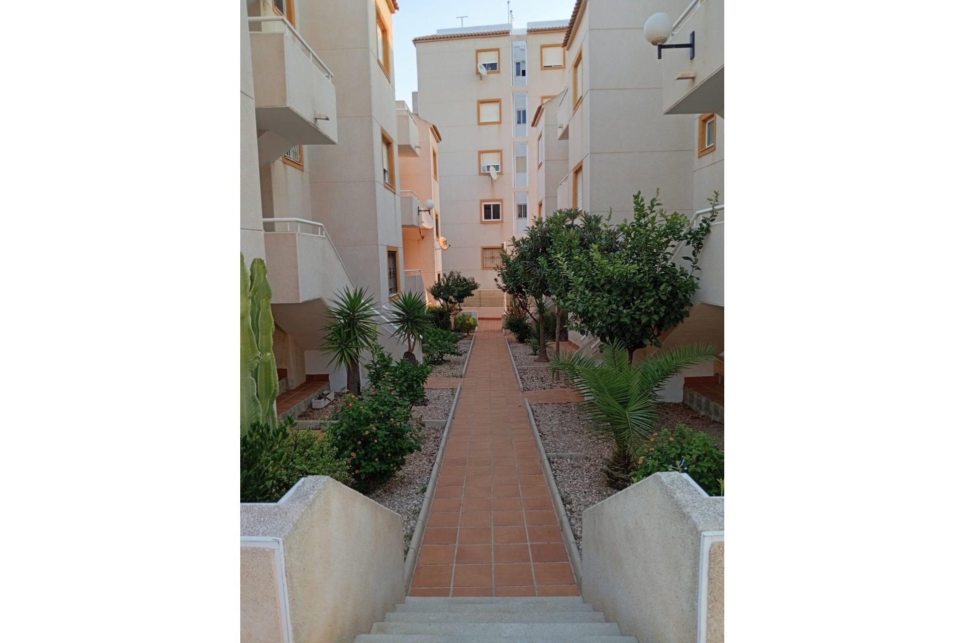 Resale - Apartment -
Torrevieja - Torreblanca