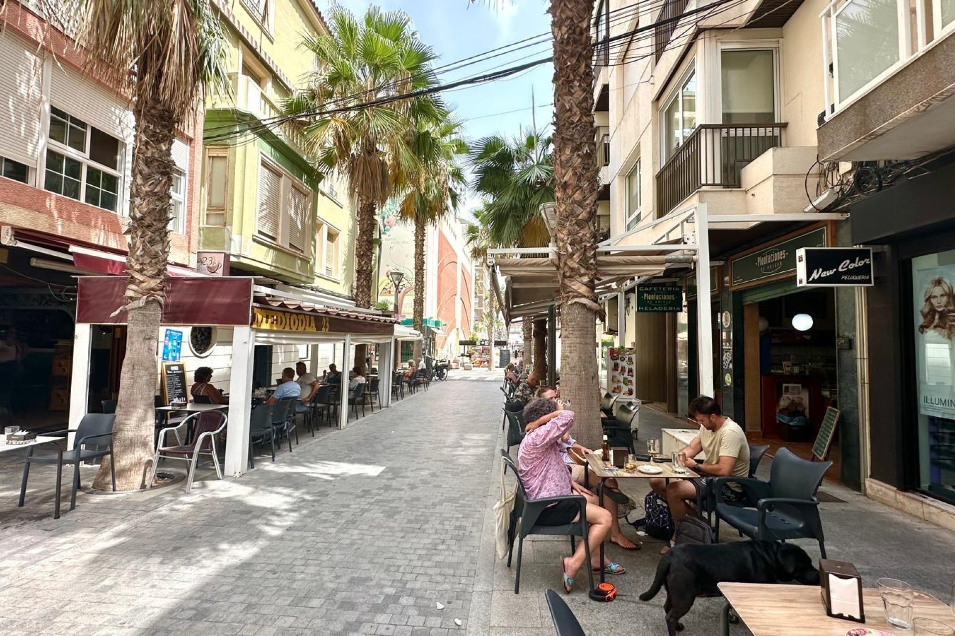 Resale - Apartment -
Torrevieja