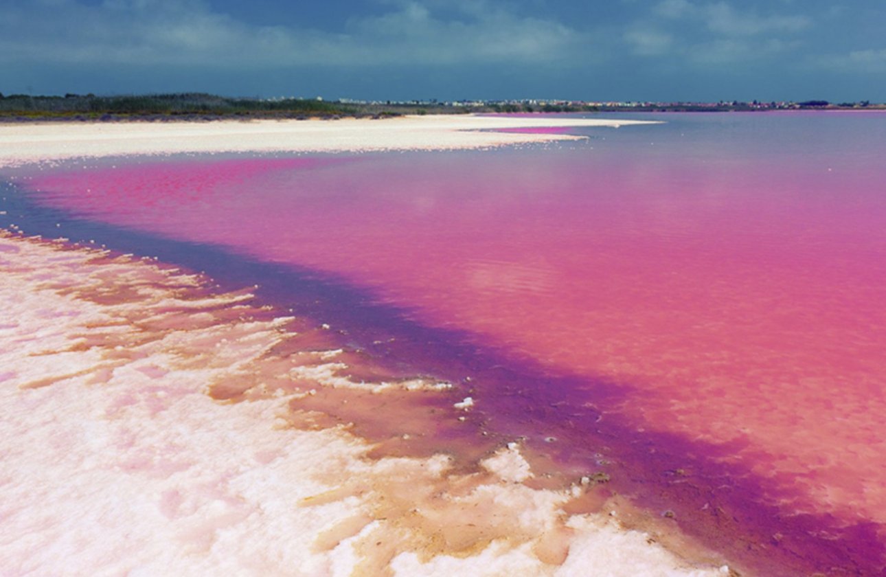 Resale - Apartment -
Villamartin - Costa Blanca