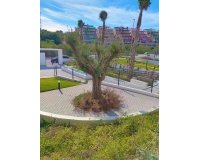 Resale - Apartment -
Villamartin - Costa Blanca
