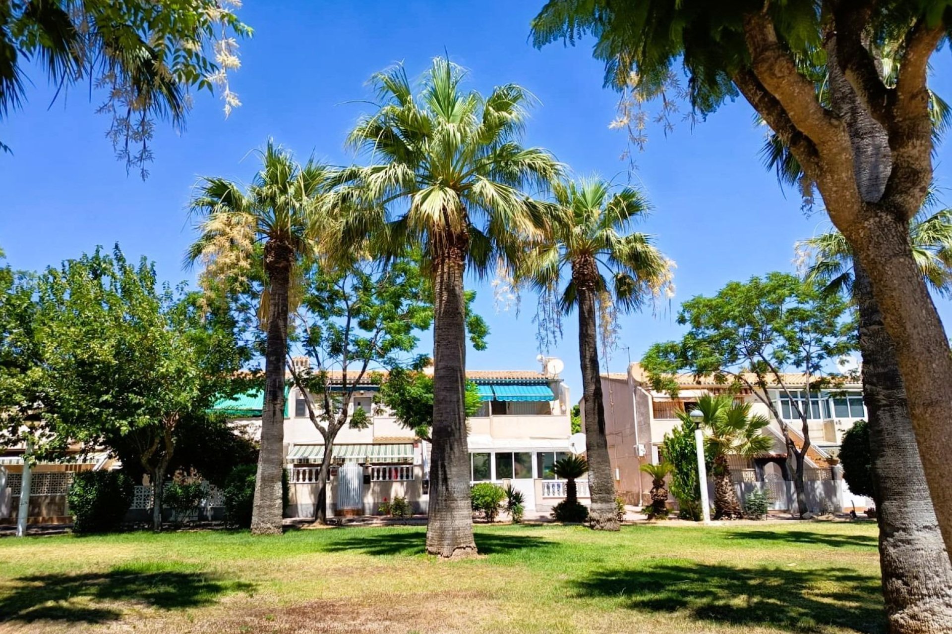 Resale - Bungalow -
Orihuela Costa - Costa Blanca