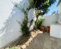 Resale - Bungalow -
Playa Flamenca - Costa Blanca