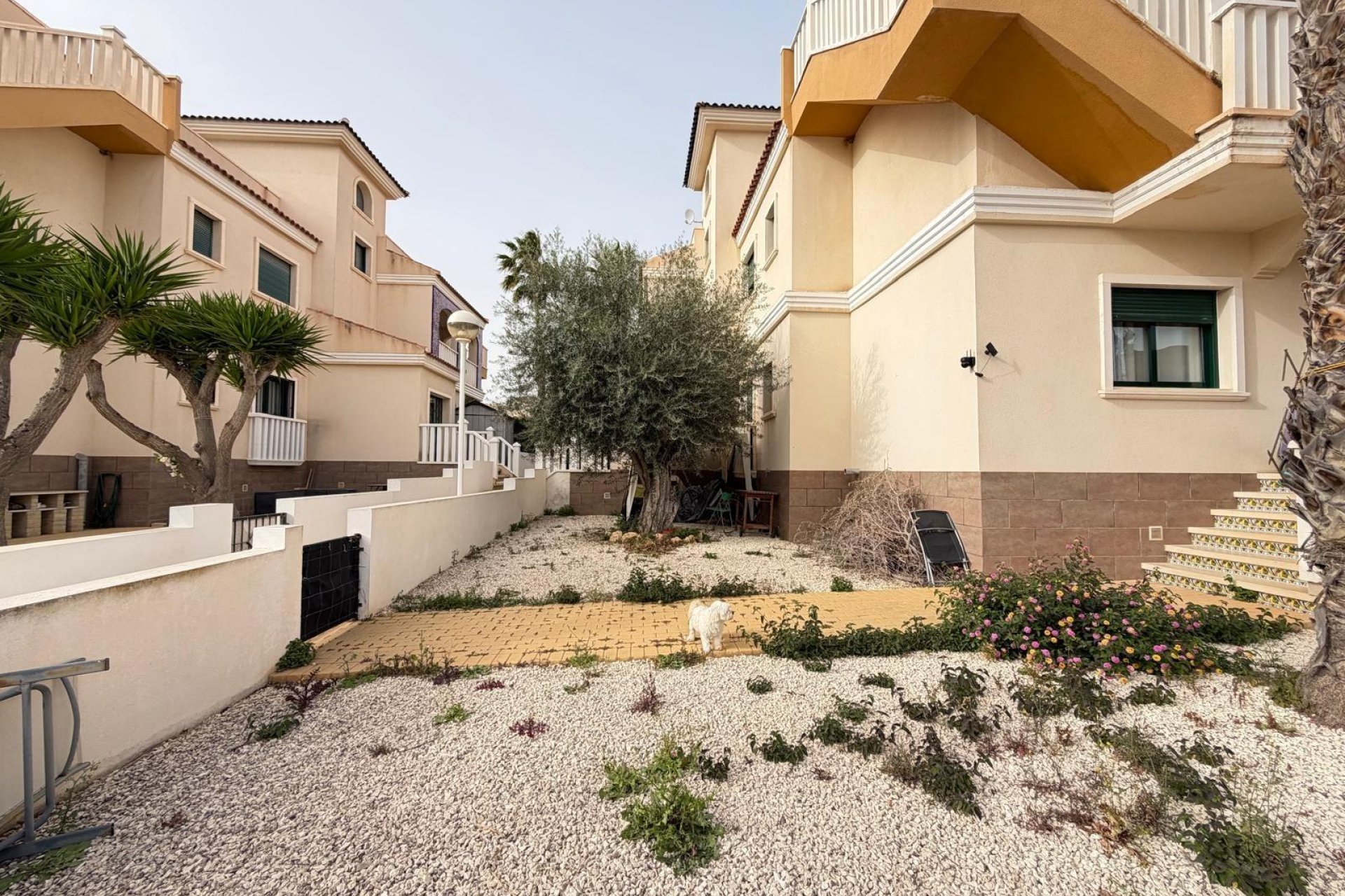 Resale - Bungalow -
Rojales - Doña Pepa