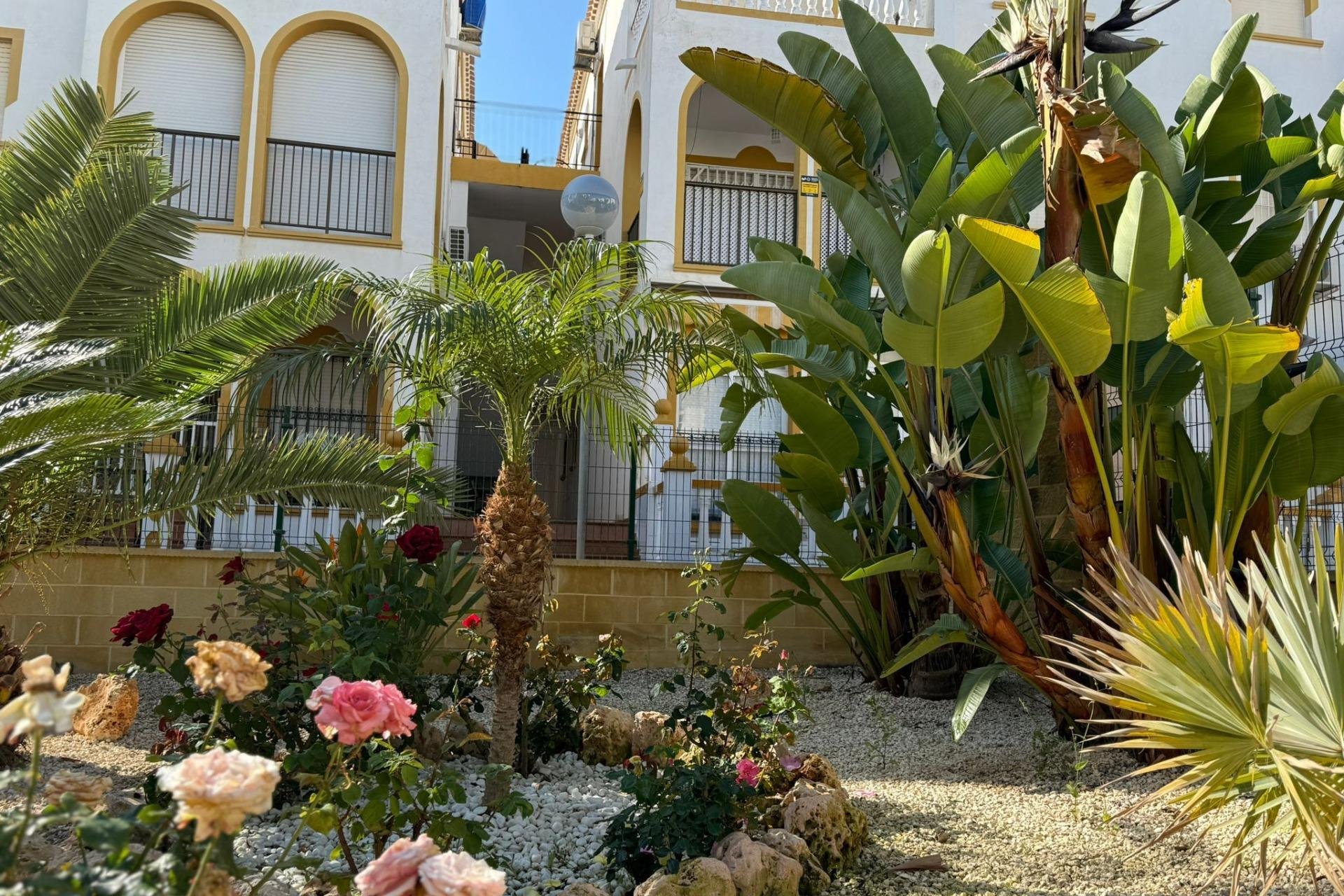 Resale - Bungalow -
Torrevieja - Cañada Del Molino