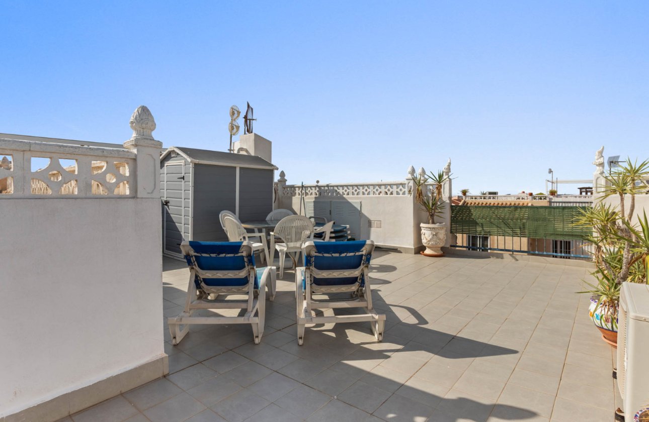Resale - Bungalow -
Torrevieja - Costa Blanca