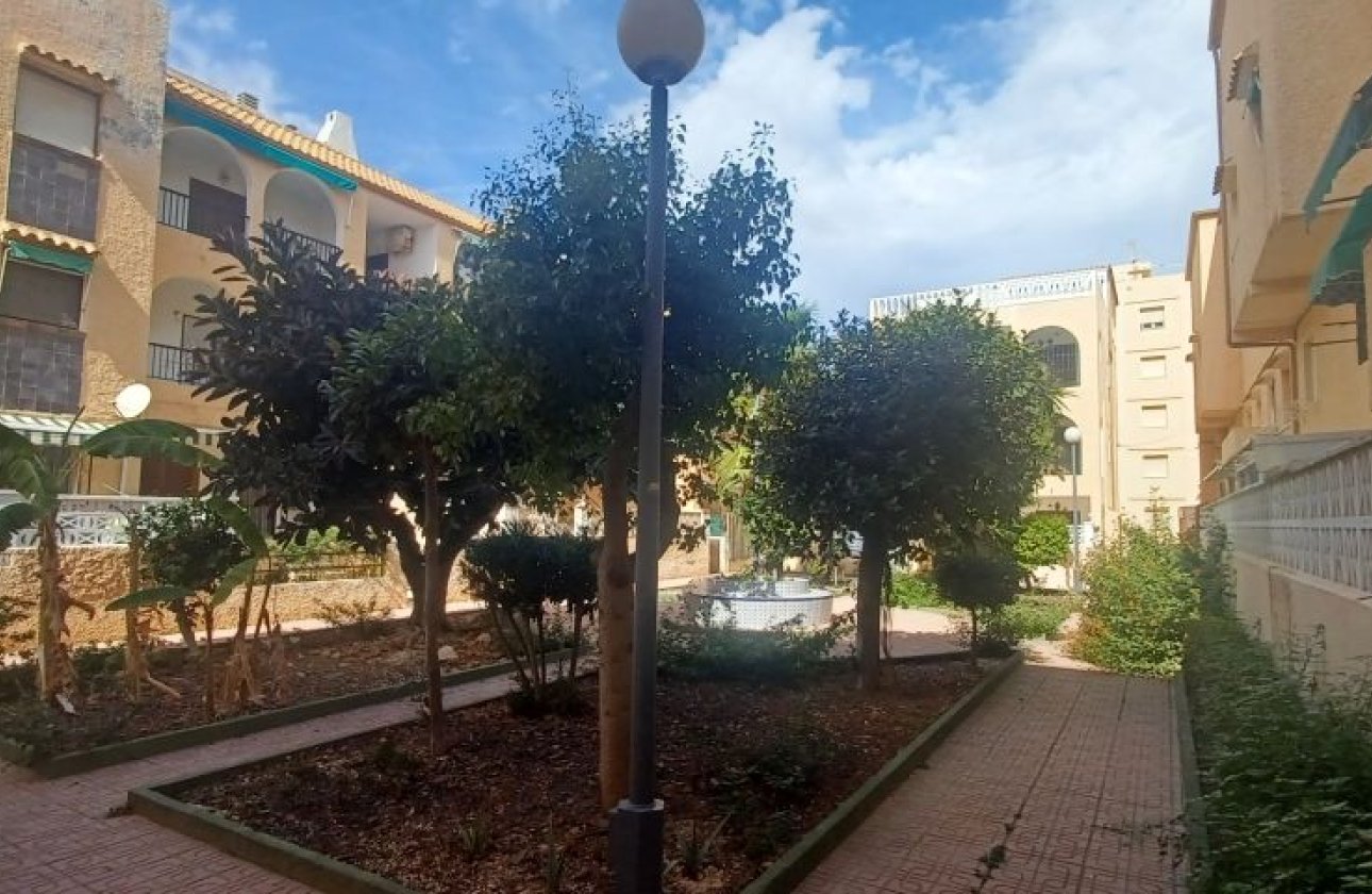 Resale - Bungalow -
Torrevieja - Costa Blanca
