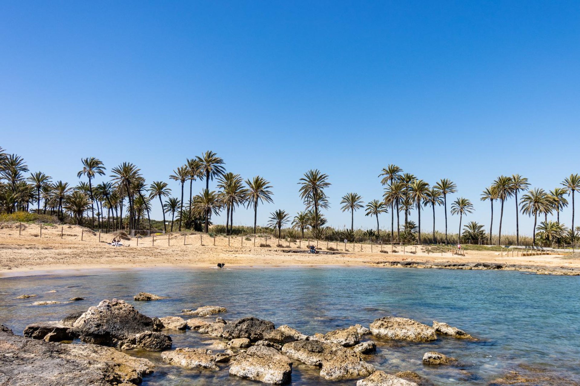 Resale - Bungalow -
Torrevieja - Costa Blanca
