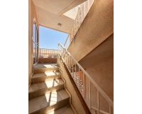 Resale - Bungalow -
Torrevieja - Costa Blanca