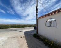 Resale - Bungalow -
Torrevieja - La Siesta - El Salado - Torreta