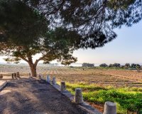 Resale - Bungalow -
Torrevieja - La Siesta - El Salado - Torreta