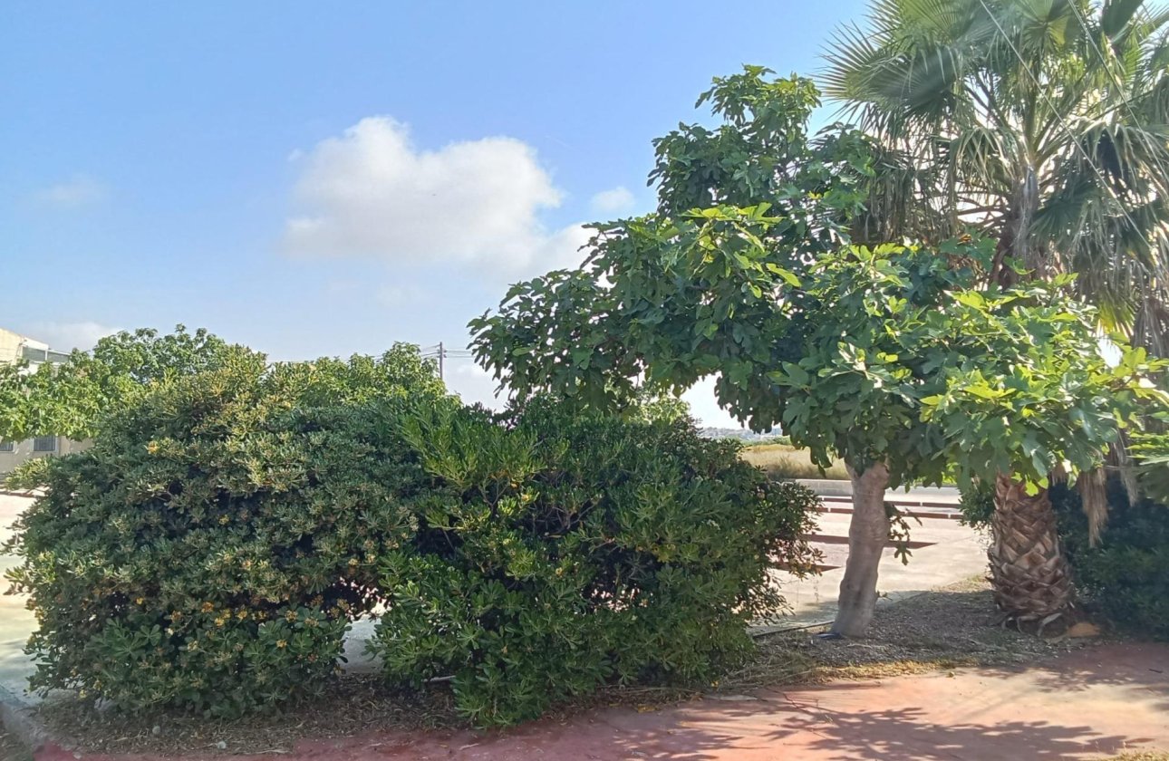 Resale - Bungalow -
Torrevieja - Torretas