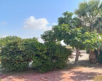 Resale - Bungalow -
Torrevieja - Torretas