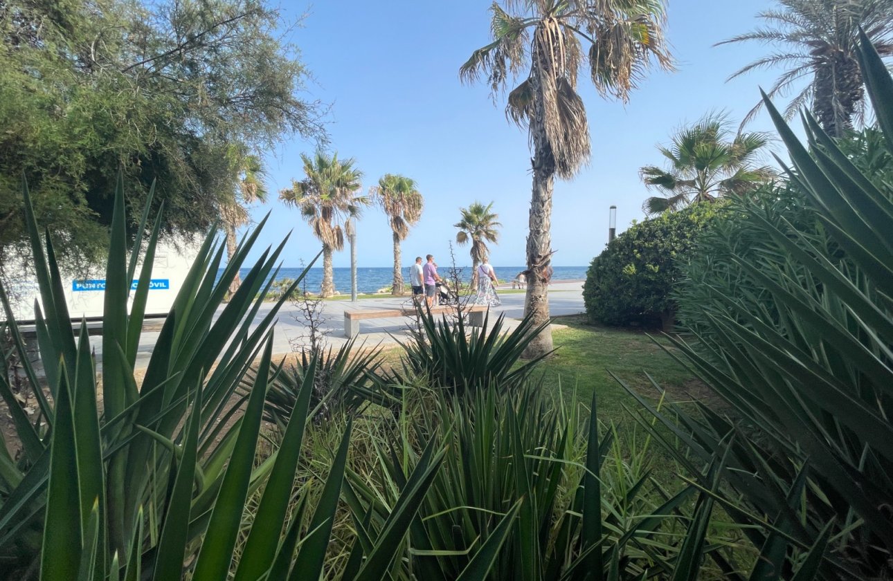 Resale - Commercial -
Torrevieja - Costa Blanca