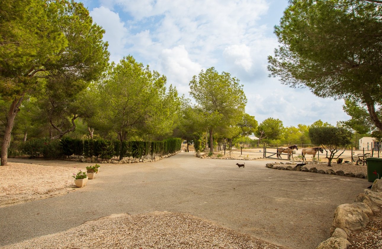 Resale - Country House -
Torremendo - Costa Blanca