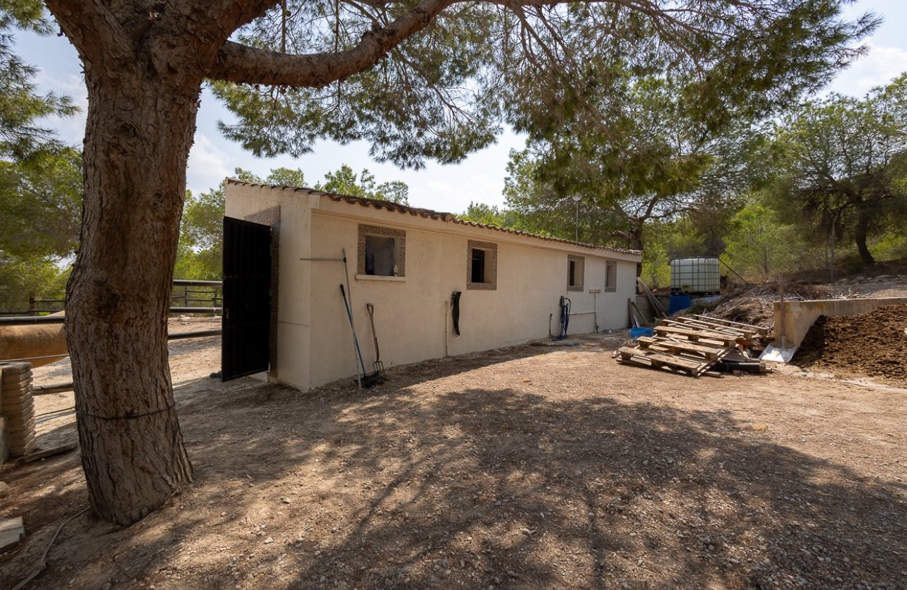 Resale - Country House -
Torremendo - Costa Blanca