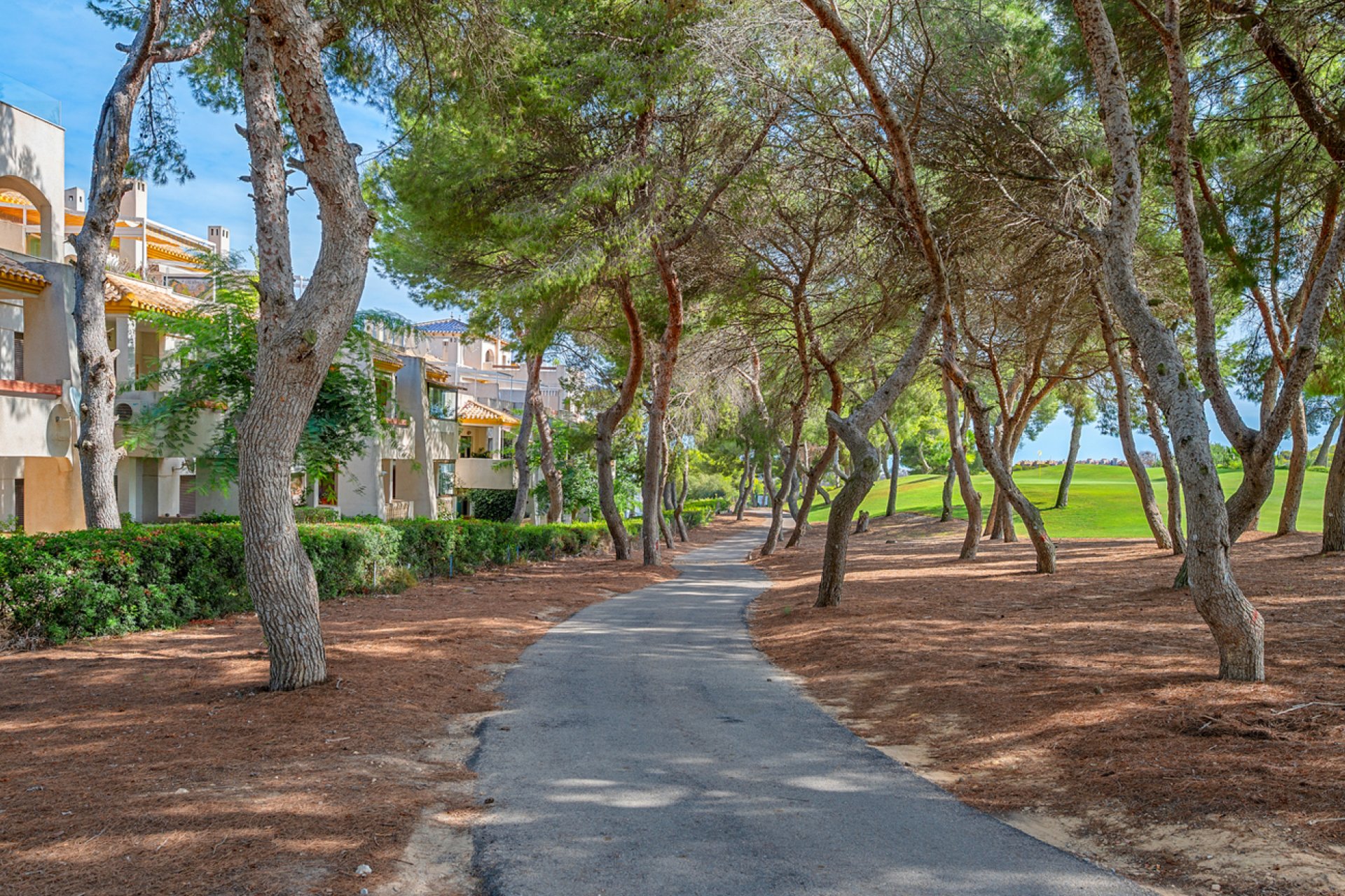 Resale - Duplex Penthouse -
Dehesa de Campoamor - Costa Blanca