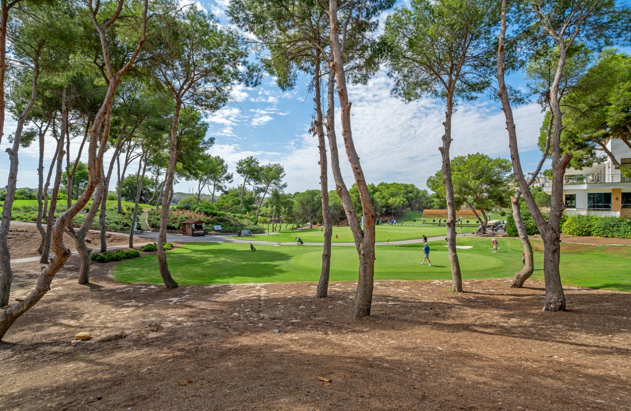 Resale - Duplex Penthouse -
Dehesa de Campoamor - Costa Blanca