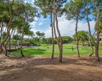 Resale - Duplex Penthouse -
Dehesa de Campoamor - Costa Blanca
