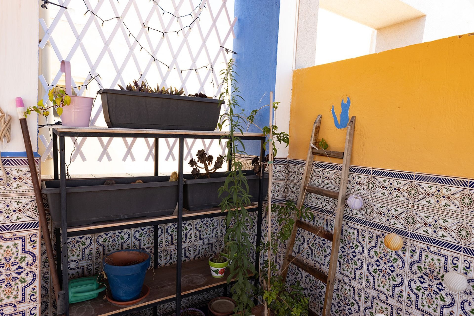 Resale - Dúplex -
Torrevieja - Costa Blanca
