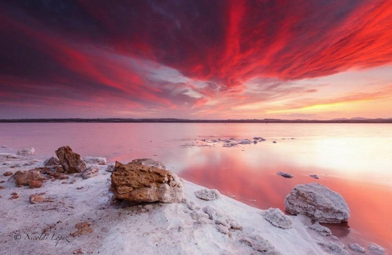 Resale - Dúplex -
Torrevieja - La Siesta