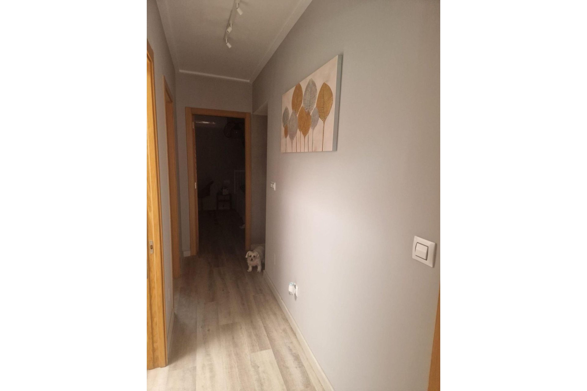 Resale - Dúplex -
Torrevieja - Los Balcones - Los Altos del Edén